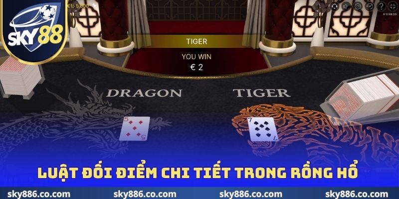 Luật đối điểm chi tiết trong Rồng Hổ