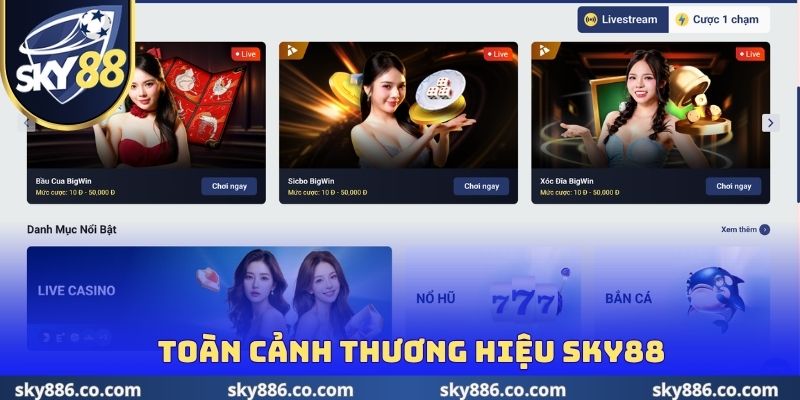 Toàn cảnh thương hiệu SKY88