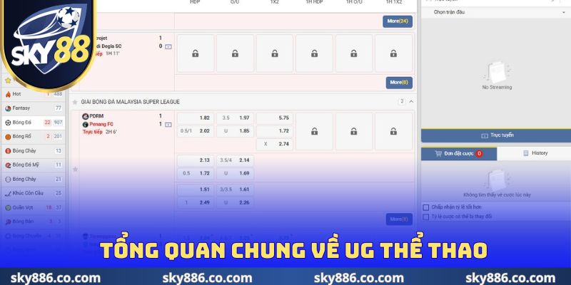 Tổng quan chung về UG thể thao